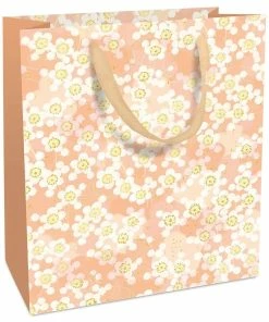 Acheter ❤️ Braun + Company Sac Cadeau Jolie 18 X 21 X 8 Cm, Abricot - Emballage Cadeau 🛒