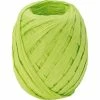 Le moins cher 👍 Stewo Ruban Cadeau Raphia Vert Clair - Emballage Cadeau ❤️ -Decora magasin unnamed file 1580