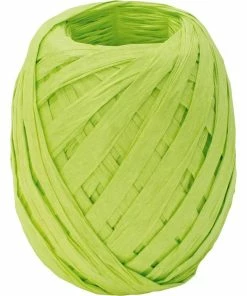 Le moins cher 👍 Stewo Ruban Cadeau Raphia Vert Clair - Emballage Cadeau ❤️