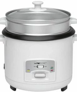 Budget 🤩 Clatronic RK 3566 - Appareils Gourmets ⭐